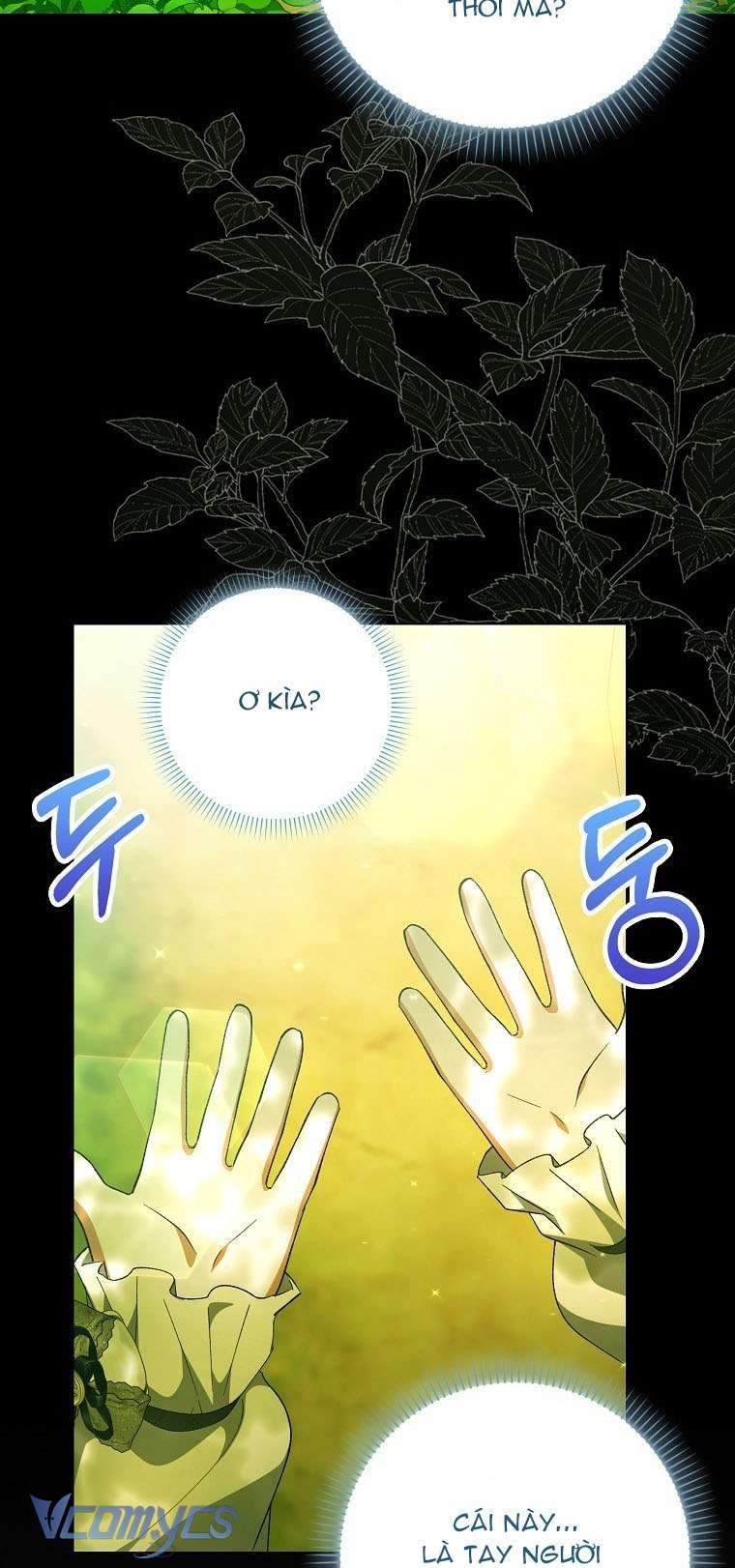 Công Chúa Bạch Hổ Không Có Nguy Hiểm Nha! Chap 2 - Trang 2