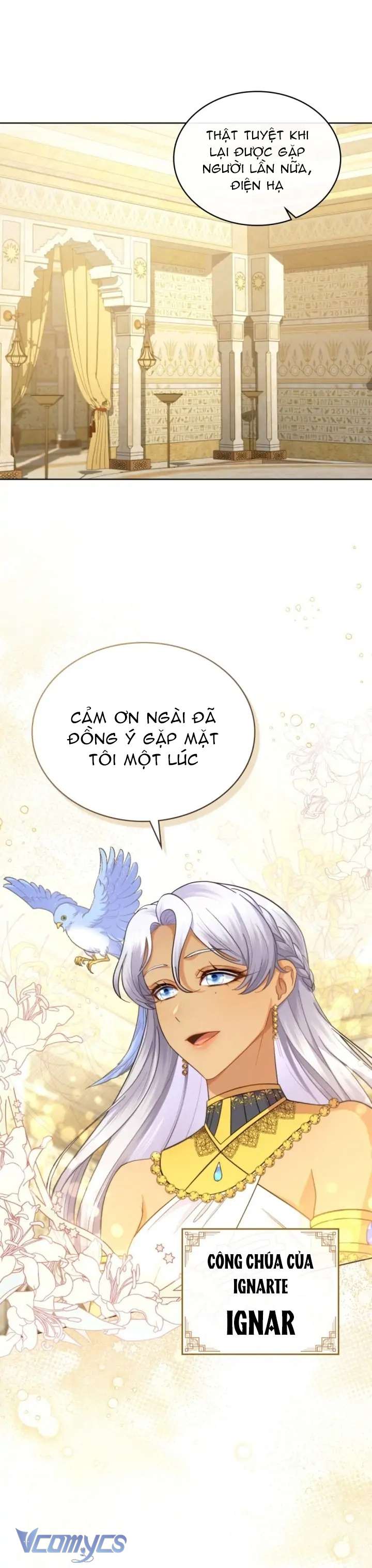 Hôn Nhân Giả Dối Chap 42 - Next Chap 43