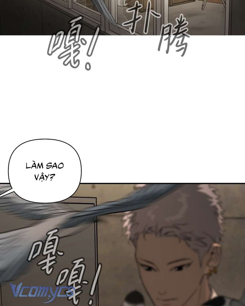 Ác Chi Hoàn Chapter 72 - Next Chapter 73