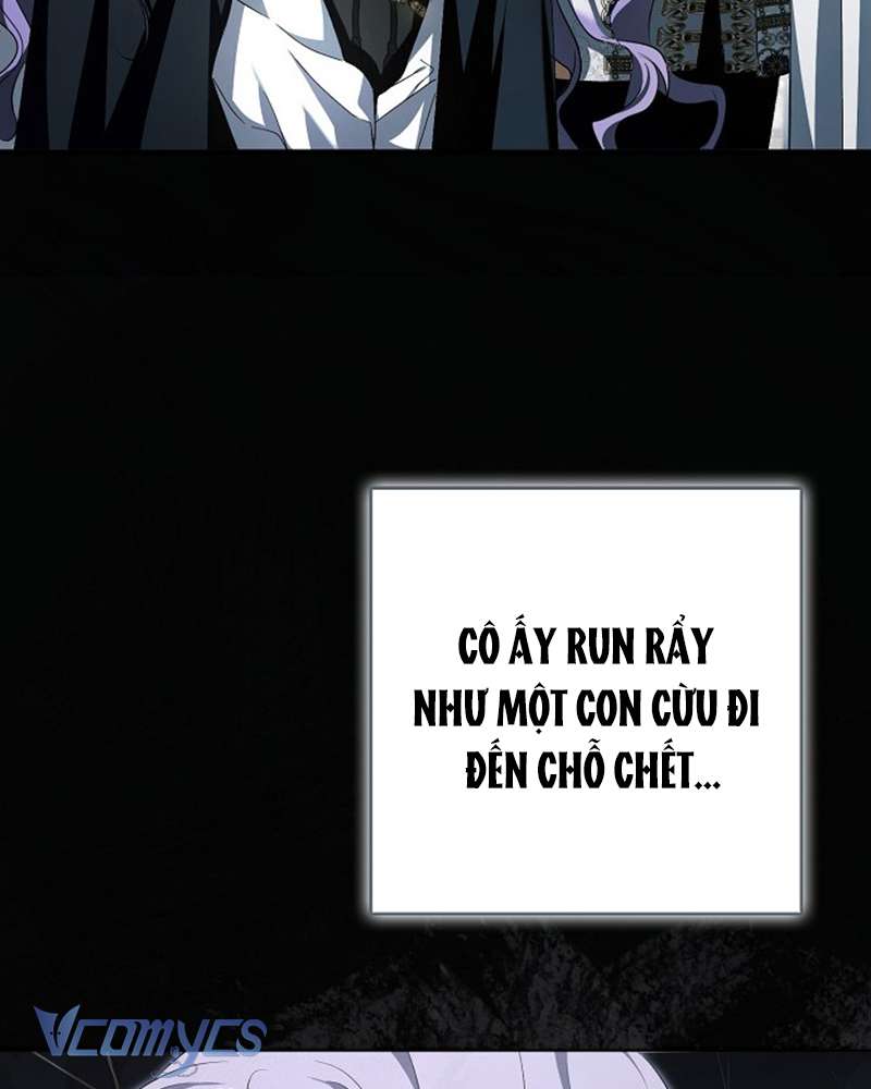 Các Nam Chính Đã Bị Nữ Phụ Cướp Mất Chap 46 - Trang 3