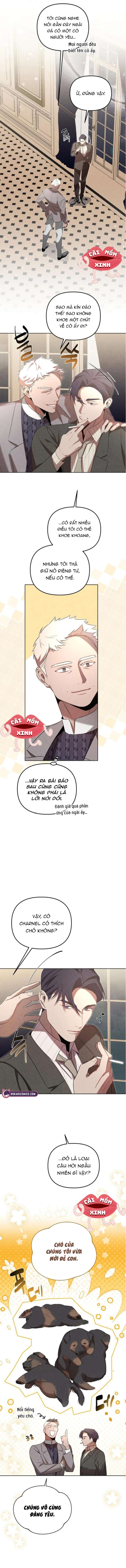 Nơi Đóa Hồng Vàng Úa Tàn Chap 13 - Trang 2