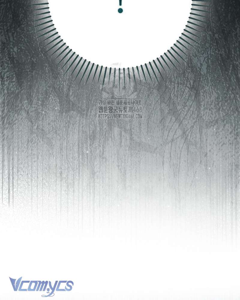 Các Nam Chính Đã Bị Nữ Phụ Cướp Mất Chap 68 - Trang 2