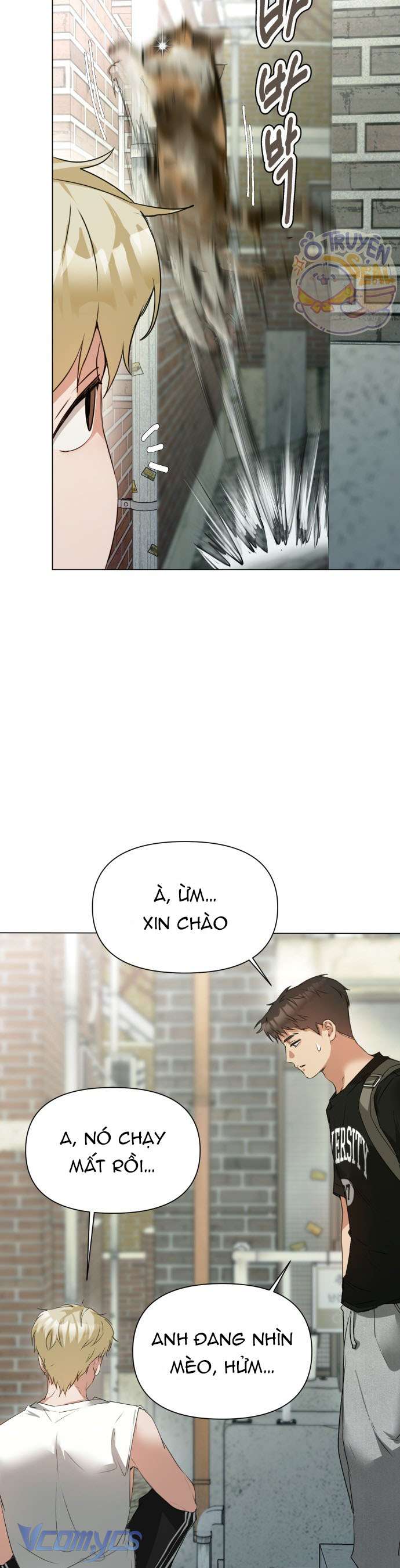 Chàng Romeo Của Chúng Ta Chap 5 - Trang 2