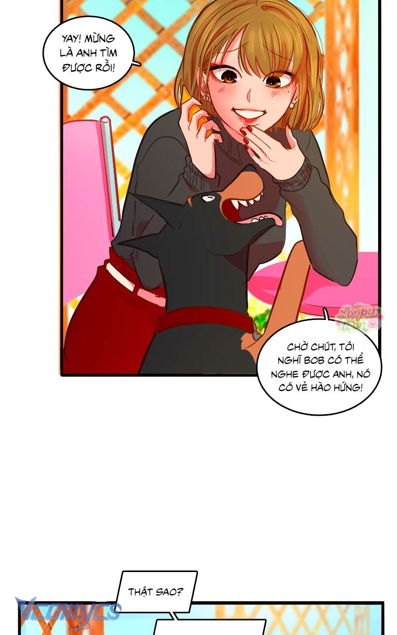 Chú Cún Dạo Bước Cùng Anh Chap 7 - Trang 2