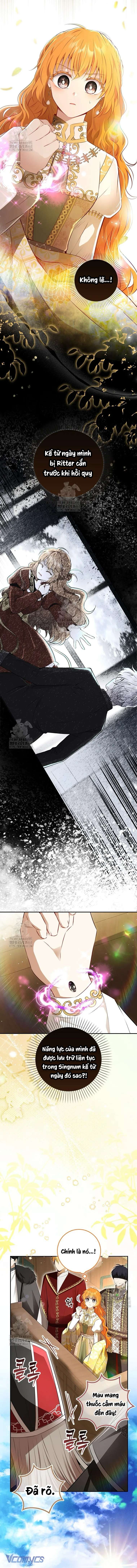 Sóc Con Tài Năng Chap 117 - Trang 2