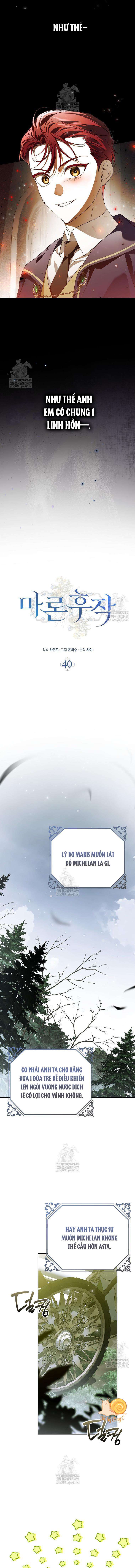 Hầu Tước Marron Chap 40 - Trang 2