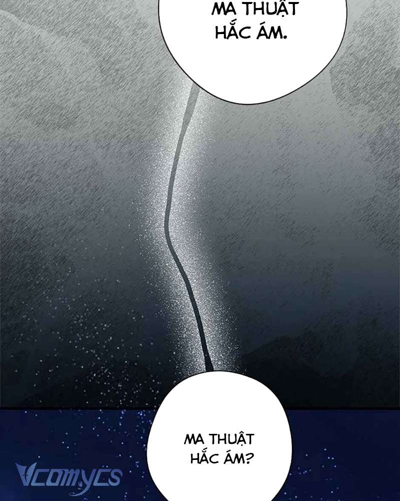 Các Nam Chính Đã Bị Nữ Phụ Cướp Mất Chap 40 - Trang 3