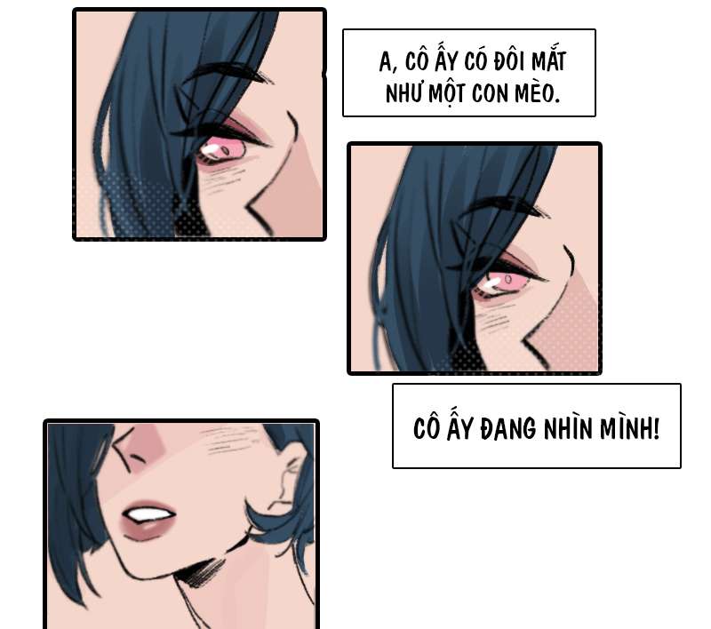 Tình Cờ Thật Đấy Chap 1 - Trang 3