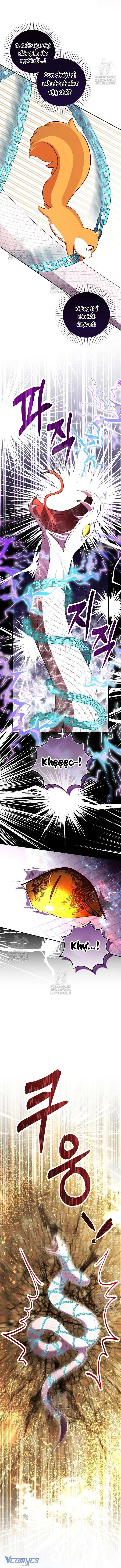 Sóc Con Tài Năng Chap 117 - Trang 2