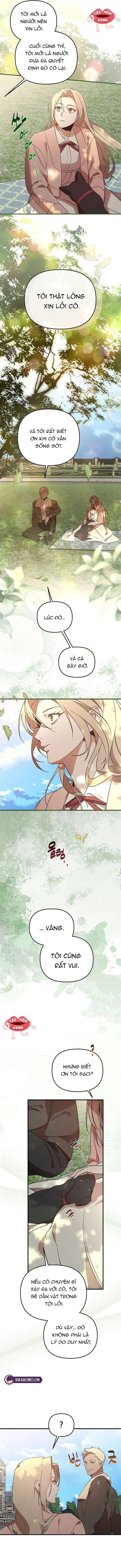 Nơi Đóa Hồng Vàng Úa Tàn Chap 25 - Trang 2