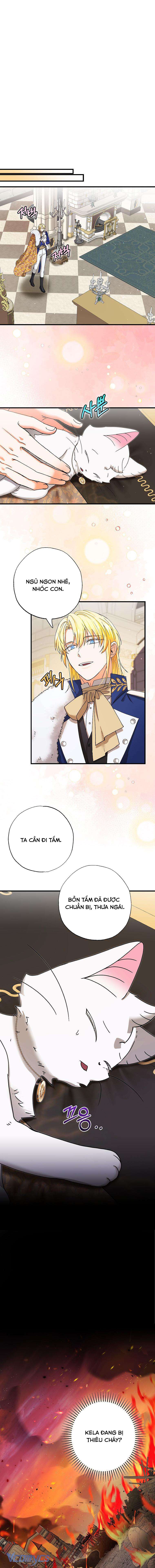 Trở Thành Miêu Nữ Của Hoàng Đế Chapter 23 - Trang 4