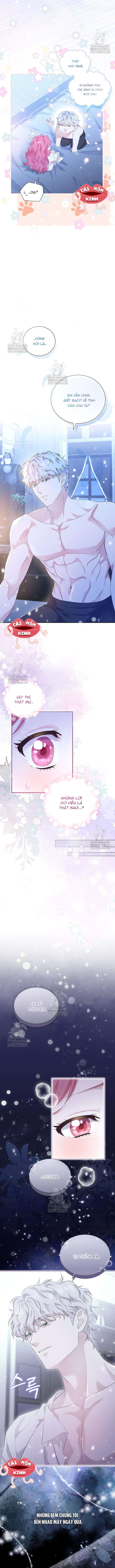 Khi Bị Nam Chính Dịu Dàng Nhưng Cố Chấp Ám Ảnh Chap 1 - Trang 3