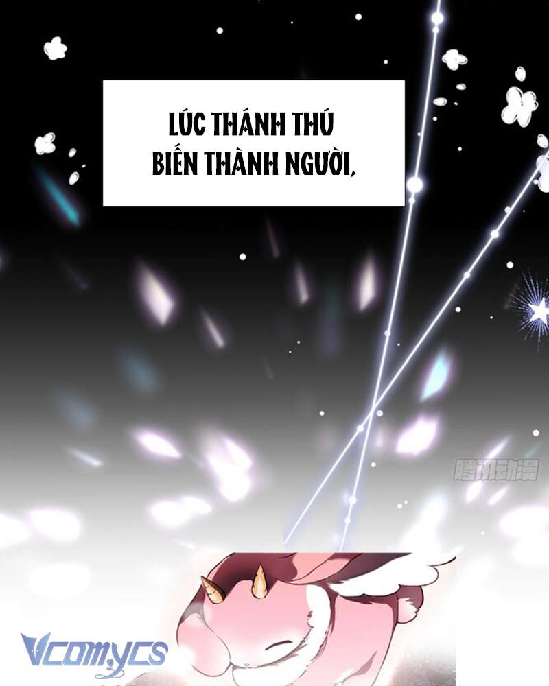 Cô Ấy Sẽ Thuần Hóa Các Anh Hùng Chap 1 - Trang 4