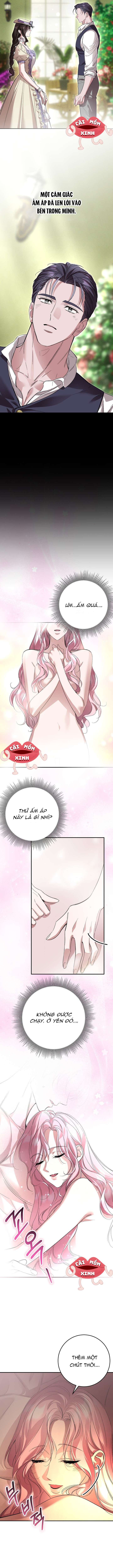 Cuộc Hôn Nhân Bị Bắt Cóc Xuyên Thời Gian Của Hoàng Hậu Chap 33 - Trang 2