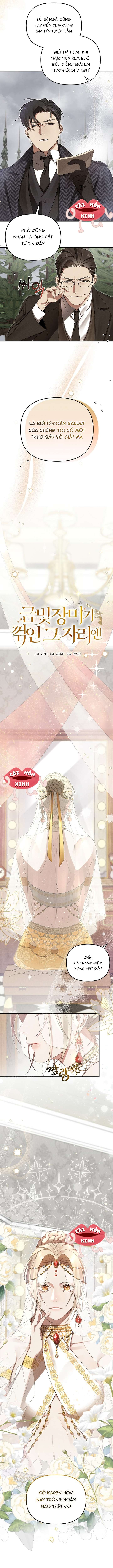 Nơi Đóa Hồng Vàng Úa Tàn Chapter 1 - Trang 3