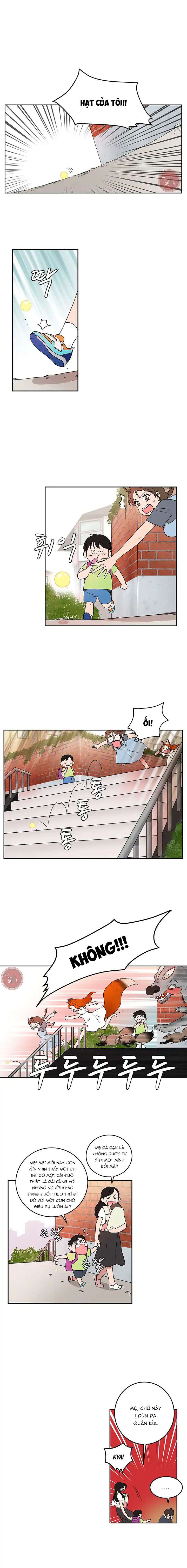 Cô Nàng Pháp Sư Chap 12 - Trang 2