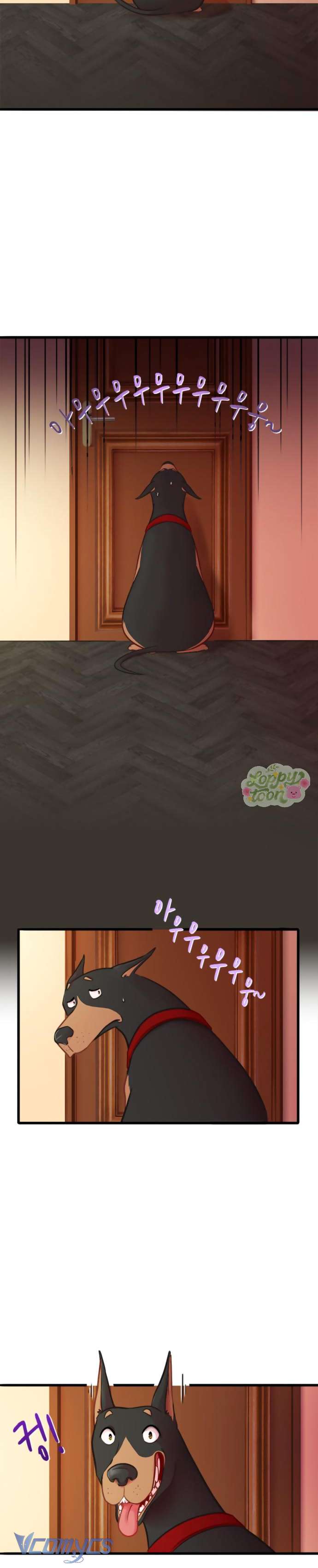 Chú Cún Dạo Bước Cùng Anh Chap 1 - Trang 2