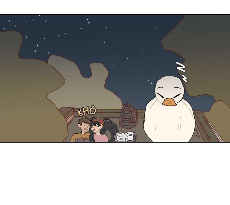 Cái Vịt Gì Vậy?! Chap 3 - Trang 2