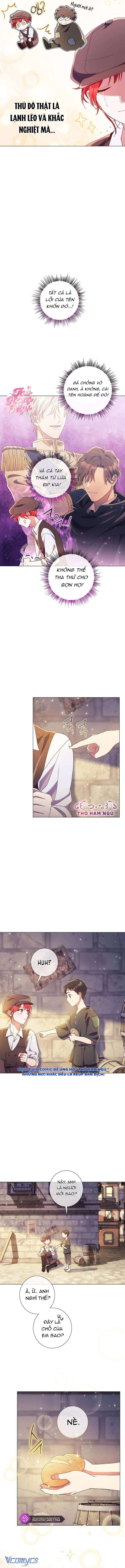 Sao Tôi Có Thể Li Hôn Khi Còn Chưa Kết Hôn Đây, Thưa Bệ Hạ Chap 12 - Trang 2