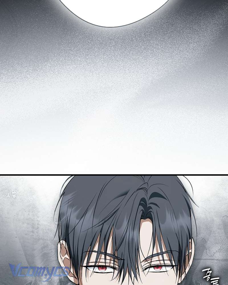 Các Nam Chính Đã Bị Nữ Phụ Cướp Mất Chap 54 - Trang 3