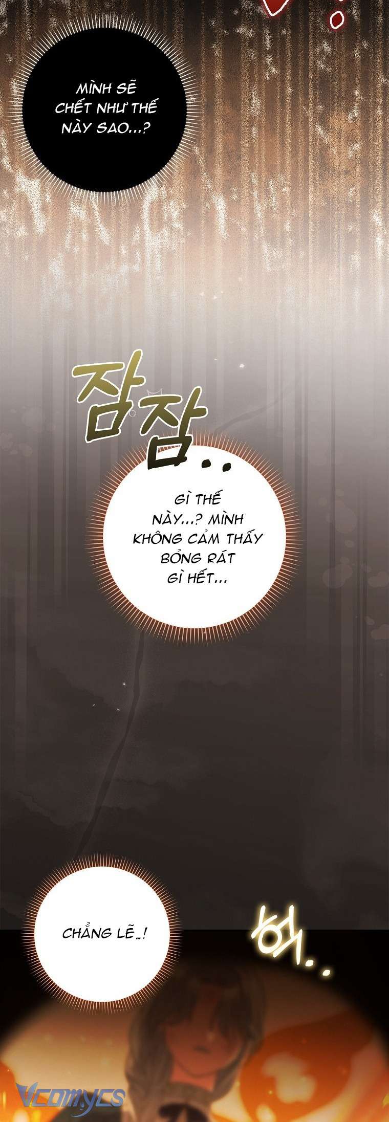 Công Chúa Bạch Hổ Không Có Nguy Hiểm Nha! Chap 3 - Trang 2