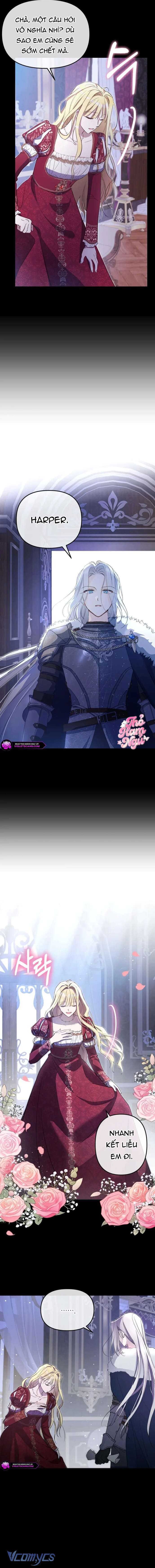 Người Chị Đã Từng Ghét Tôi Giờ Đây Lại Yêu Thương Tôi Chap 1 - Trang 2