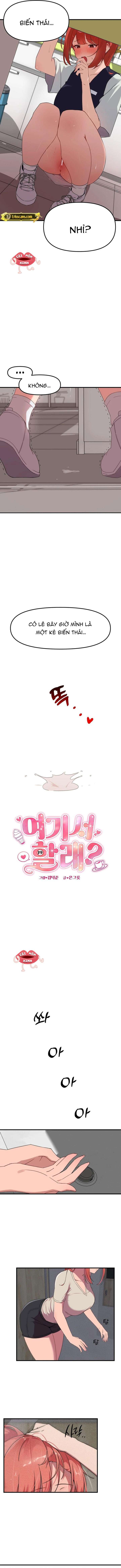 [18+] Làm Luôn Ở Đây Nhé? Chap 1 - Trang 3