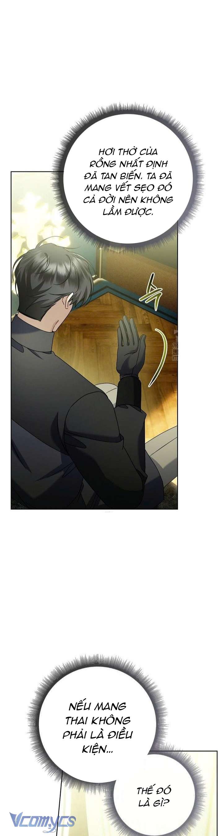 Xin Lỗi Vì Tôi Không Thể Rời Mắt Khỏi Vẻ Ngoài Của Ngài Chap 47 - Trang 3