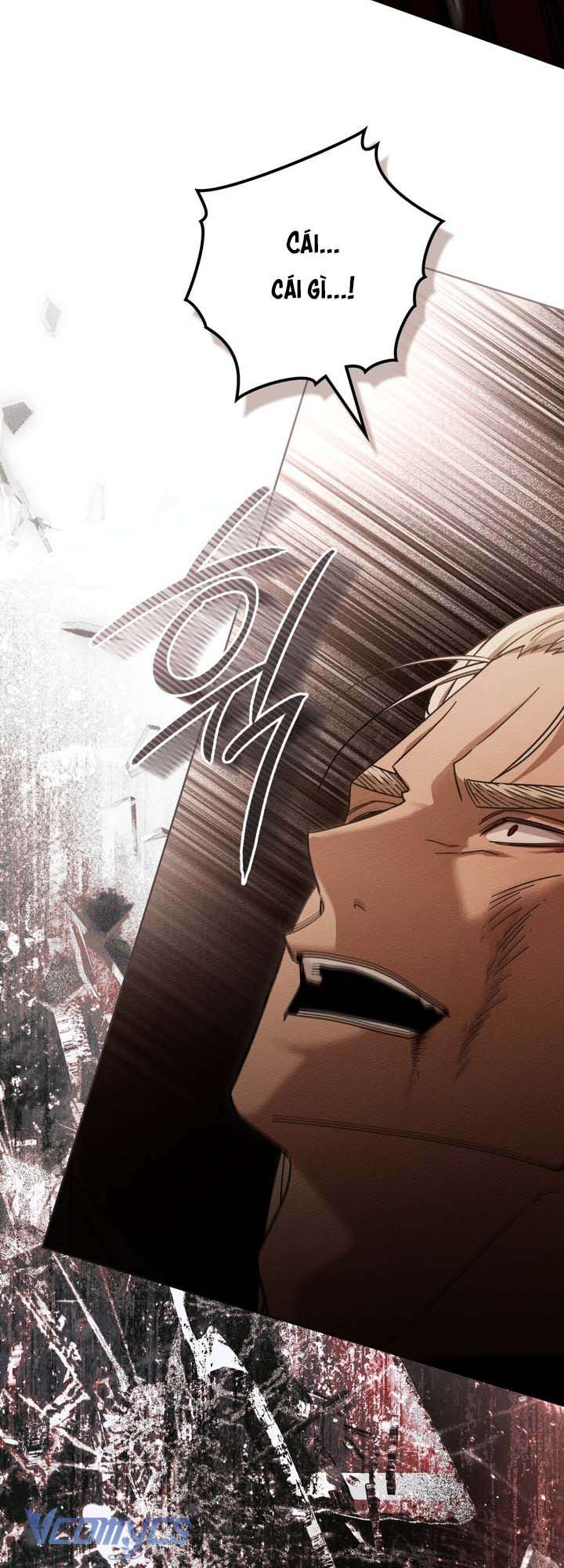 Dưới Bóng Cây Sồi Chap 129 - Trang 2