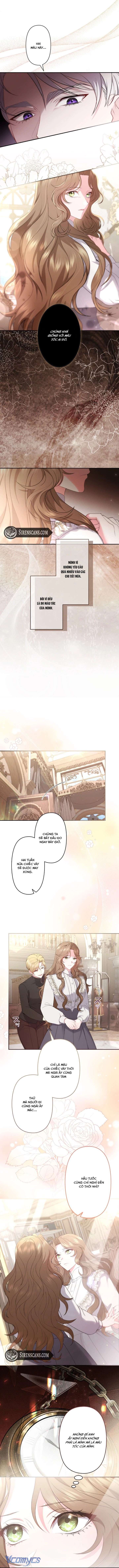 Sát Nhân Nhắm Tới Tiểu Thư Tóc Nâu Chap 9 - Next Chap 10