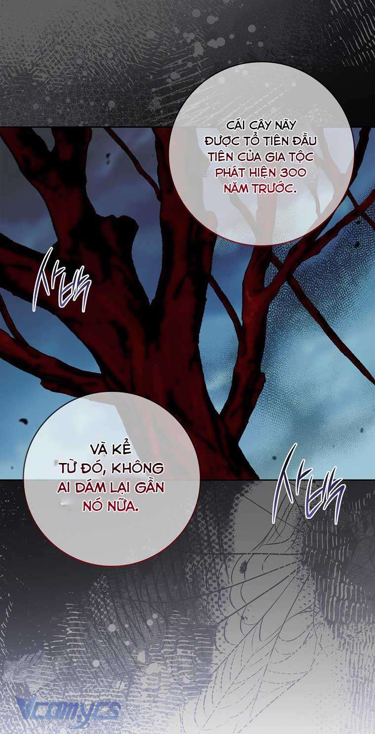 100 lời nguyền tại dinh thự Illestone Chap 3 - Trang 3