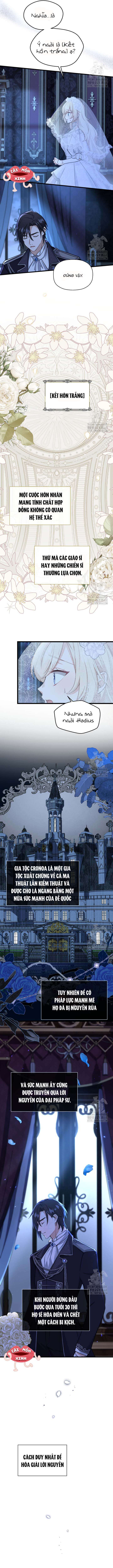 Bệ Hạ, Xin Hãy Quên Tôi Đi Chap 2 - Trang 3