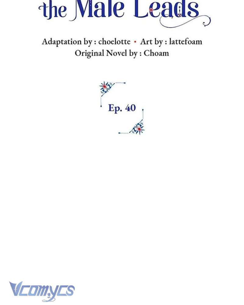 Các Nam Chính Đã Bị Nữ Phụ Cướp Mất Chap 40 - Trang 3