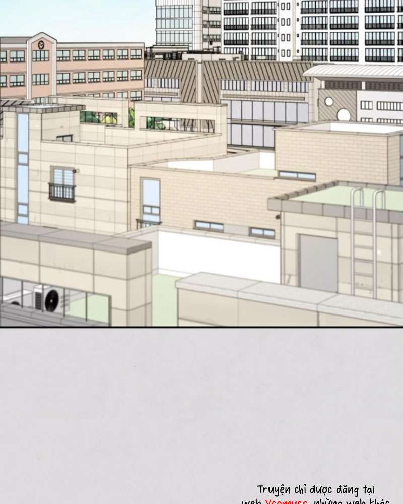 Trận Đấu Đồng Đội Của Những Tài Xế Xe Tải Chap 38 - Trang 4