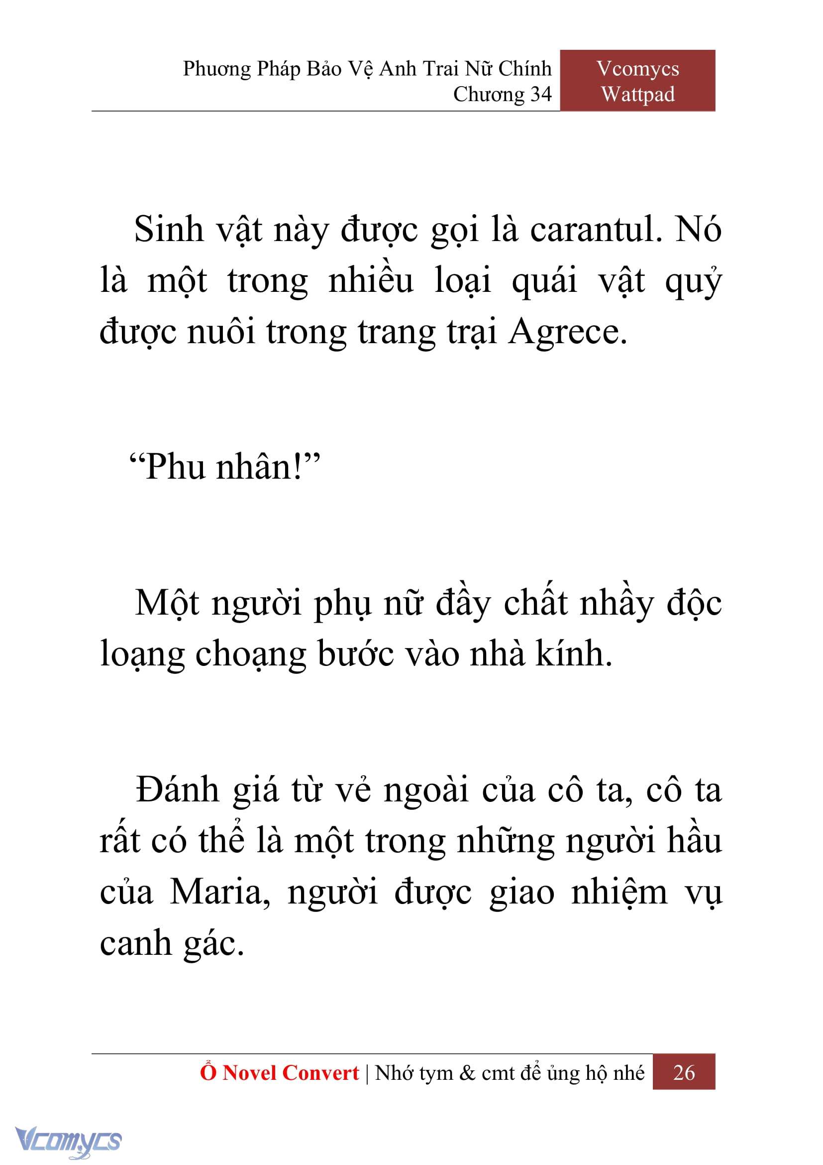 [Novel] Phương Pháp Bảo Vệ Anh Trai Nữ Chính Chap 34 - Trang 2