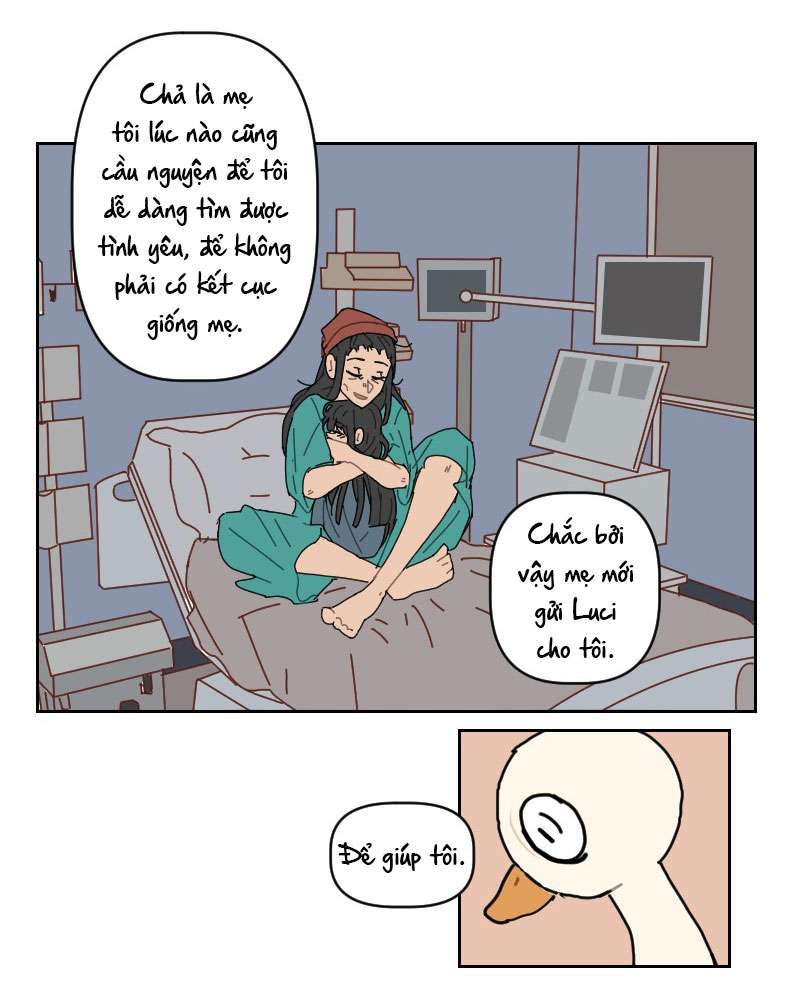 Cái Vịt Gì Vậy?! Chap 2 - Trang 2