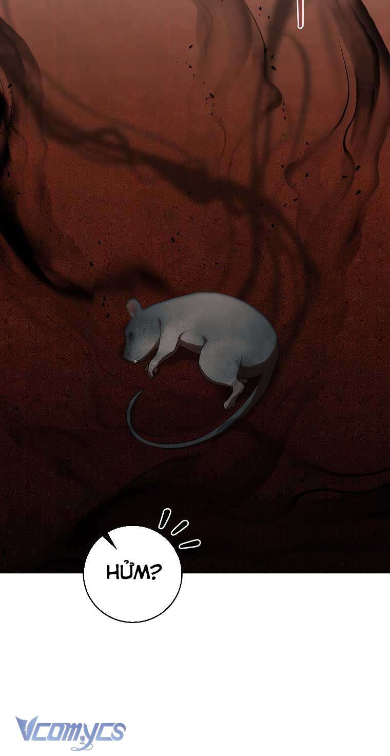 100 lời nguyền tại dinh thự Illestone Chap 15 - Trang 3