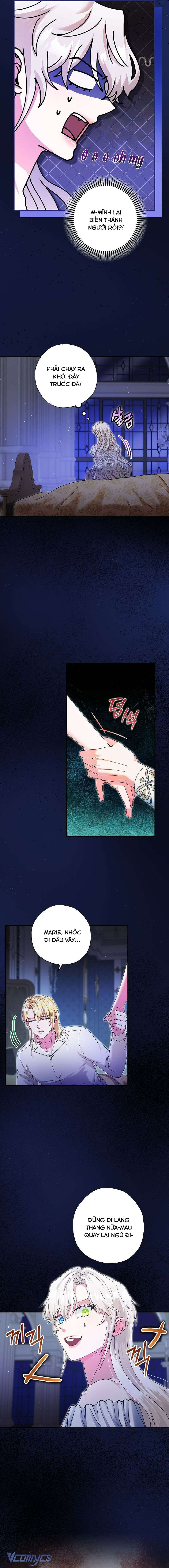 Trở Thành Miêu Nữ Của Hoàng Đế Chap 33 - Trang 4