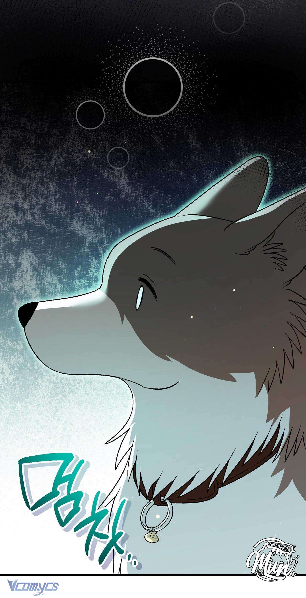 Gửi đến người sói yêu dấu của em Chap 19 - Next Chap 20