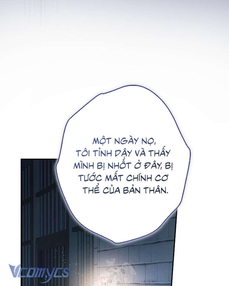 Các Nam Chính Đã Bị Nữ Phụ Cướp Mất Chap 69 - Trang 2