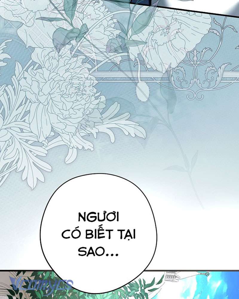 Các Nam Chính Đã Bị Nữ Phụ Cướp Mất Chap 45 - Trang 3