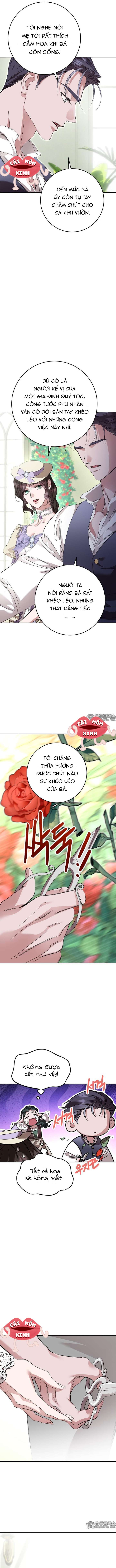 Cuộc Hôn Nhân Bị Bắt Cóc Xuyên Thời Gian Của Hoàng Hậu Chap 18 - Trang 4