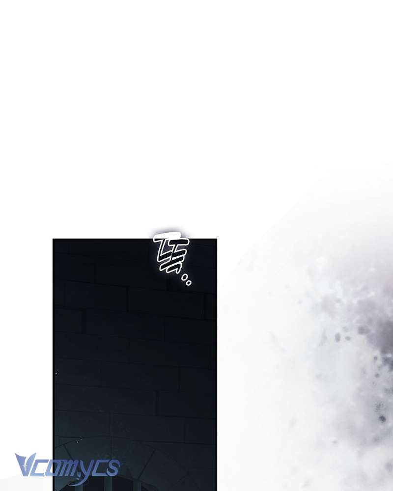 Các Nam Chính Đã Bị Nữ Phụ Cướp Mất Chap 65 - Trang 2