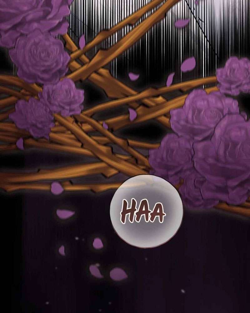 Cuộc Vui Thác Loạn Tử Thần Chap 6 - Trang 2