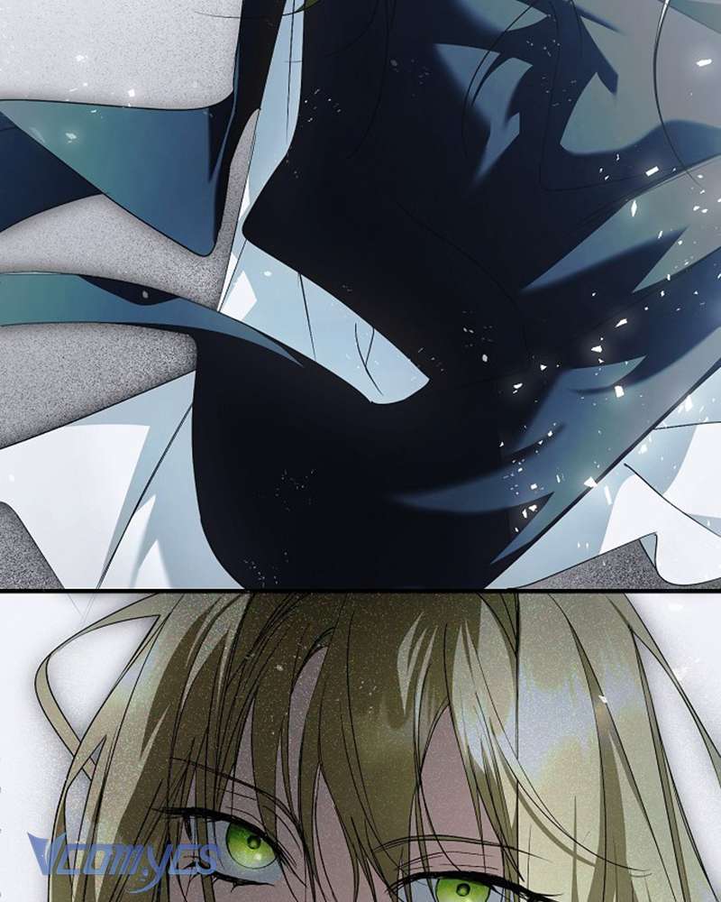 Các Nam Chính Đã Bị Nữ Phụ Cướp Mất Chap 42 - Trang 3