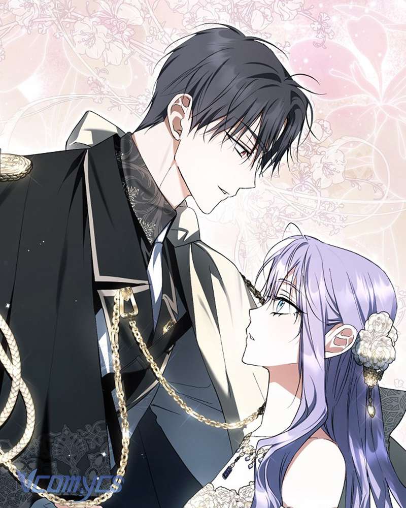 Các Nam Chính Đã Bị Nữ Phụ Cướp Mất Chap 52 - Trang 3