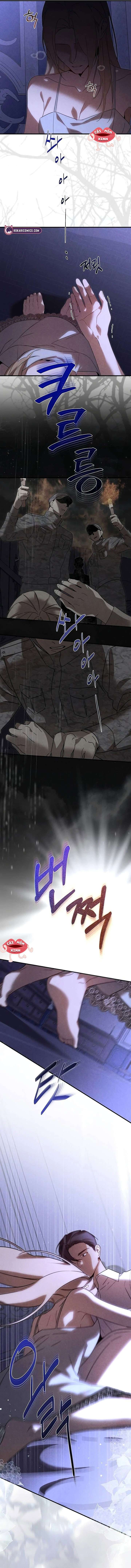 Nơi Đóa Hồng Vàng Úa Tàn Chap 26 - Trang 2