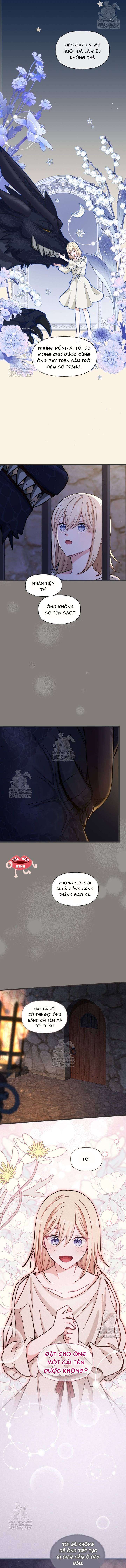 Bệ Hạ, Xin Hãy Quên Tôi Đi Chap 54 - Trang 2