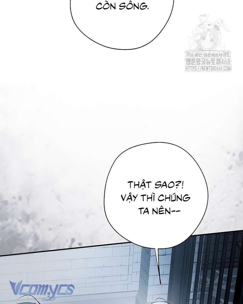 Các Nam Chính Đã Bị Nữ Phụ Cướp Mất Chap 69 - Trang 2