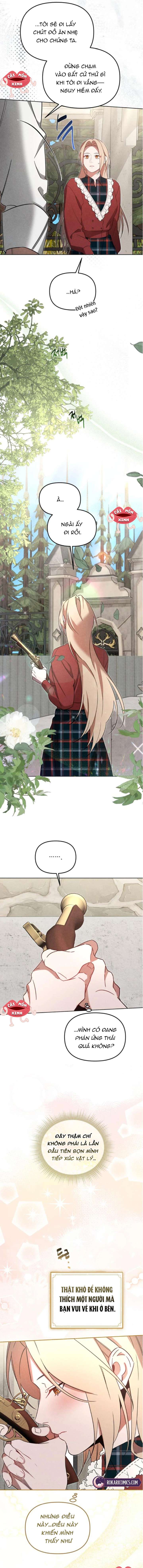 Nơi Đóa Hồng Vàng Úa Tàn Chap 12 - Trang 2